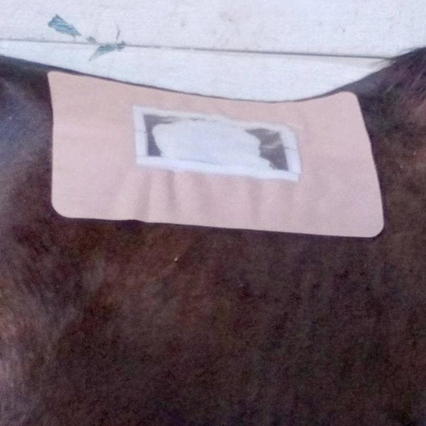 ClearikonFLEX Equine Bandage - Single, 3 Pack & 10 Pack