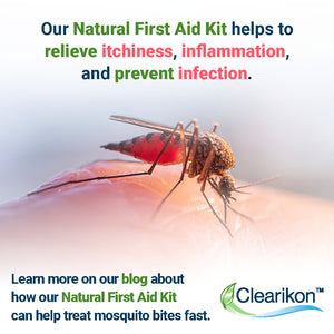 The Best First Aid Kit to Treat Mosquito Bite Rash