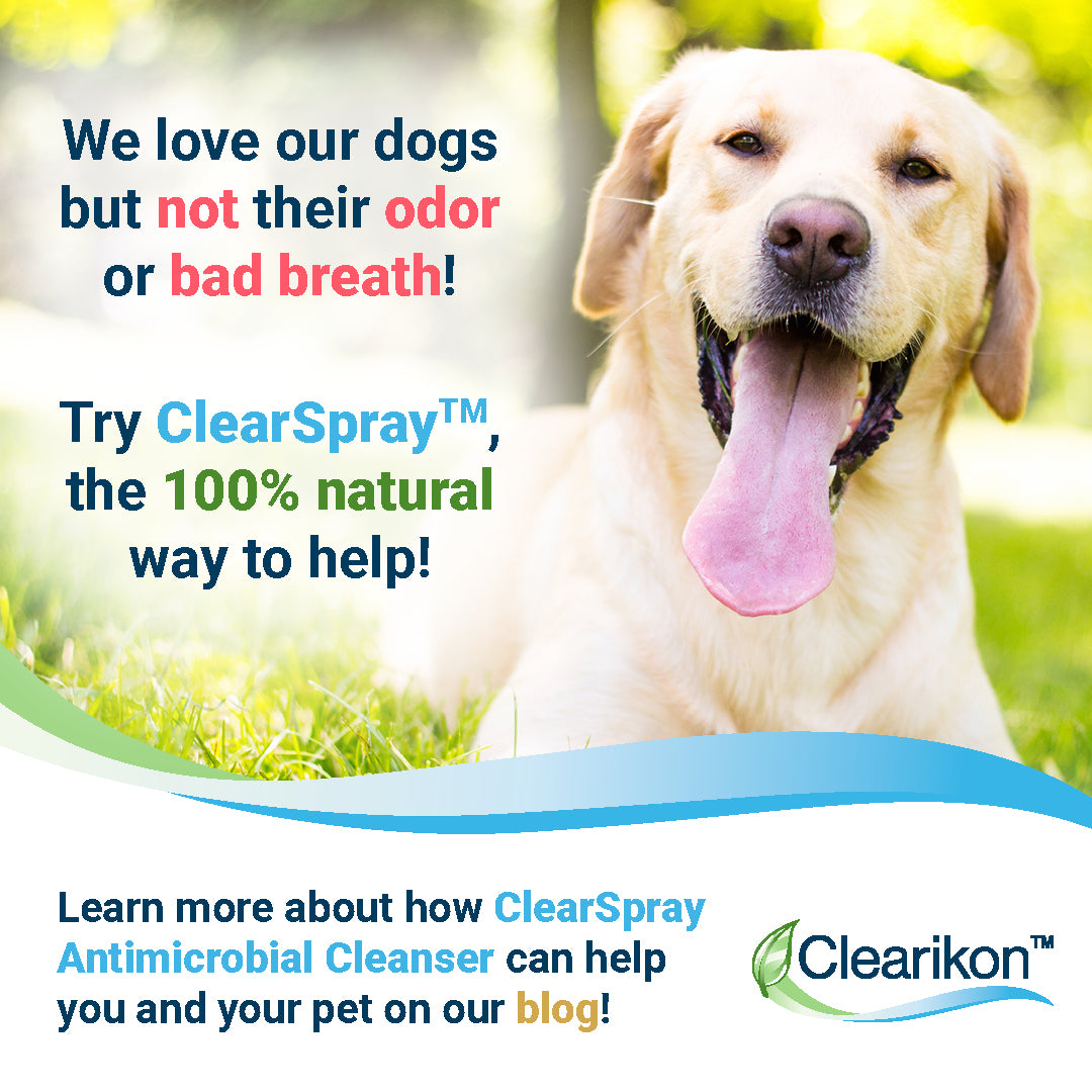 We love our dogs but not their odor or bad breath! Try ClearSpray, the 100% natural way to help! Learn more about how ClearSpray Antimicrobial Cleanser can help you and your pet on our blog!