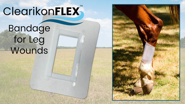 ClearikonFLEX Equine Bandage - Single, 3 Pack & 10 Pack - Free Delivery