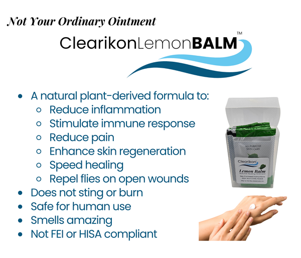Lemon Balm Gold Healing Ointment - 5 Pack or 10 Pack Box