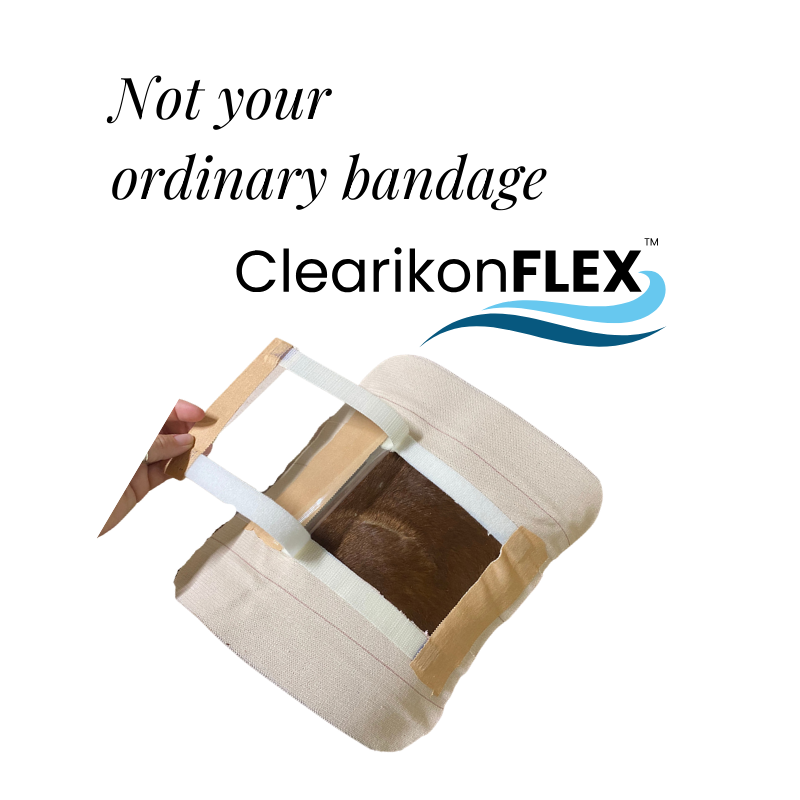 ClearikonFLEX Equine Bandage