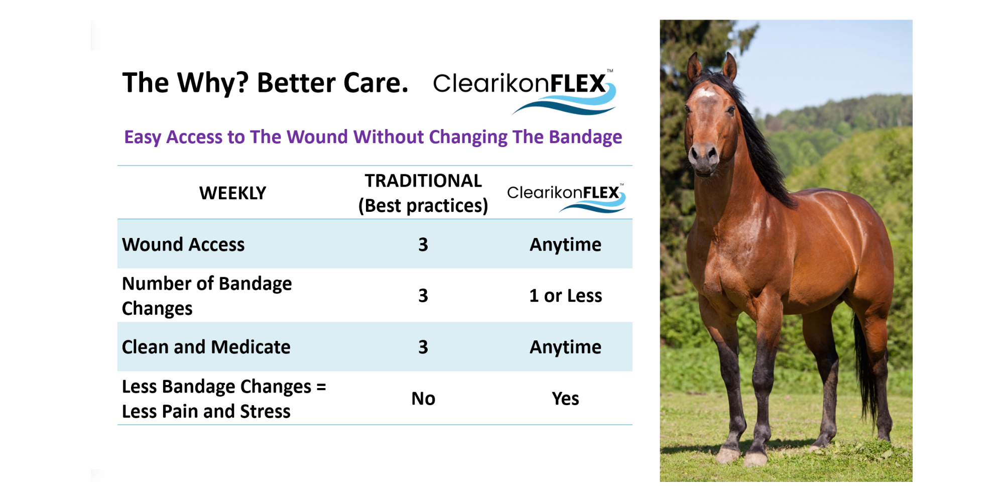 Picture of a grid comparing traditional to ClearFLEX bandaging also a picture of a beautiful red quarter horse